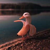 RaydDude