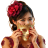 CamFaces